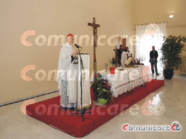 Noleggio pedane Grosseto